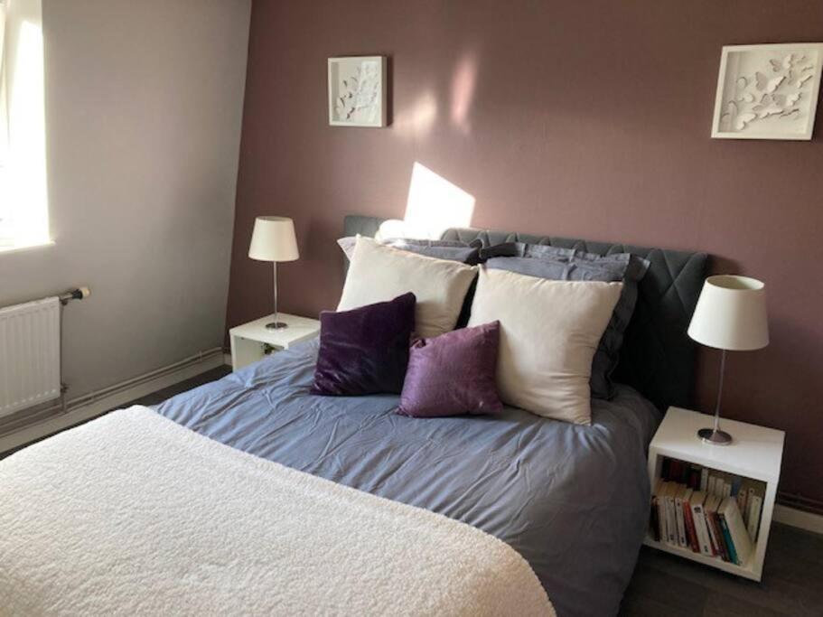 Agreable Et Spacieuse Maison Centre Ville Saint-Omer מראה חיצוני תמונה